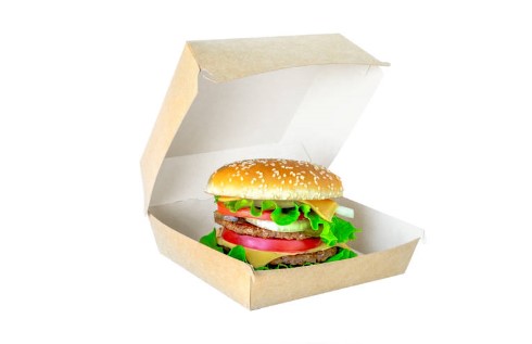 burger in a burger box