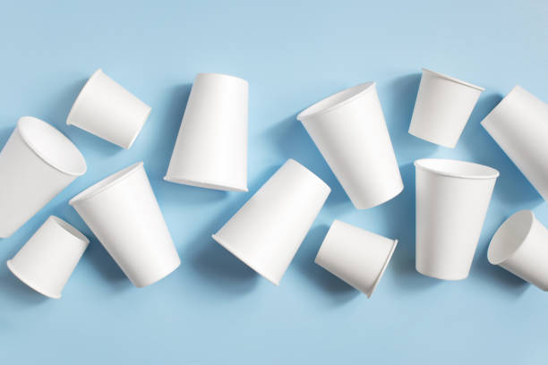 From Small to Large: A Complete Guide to Paper Cup Size