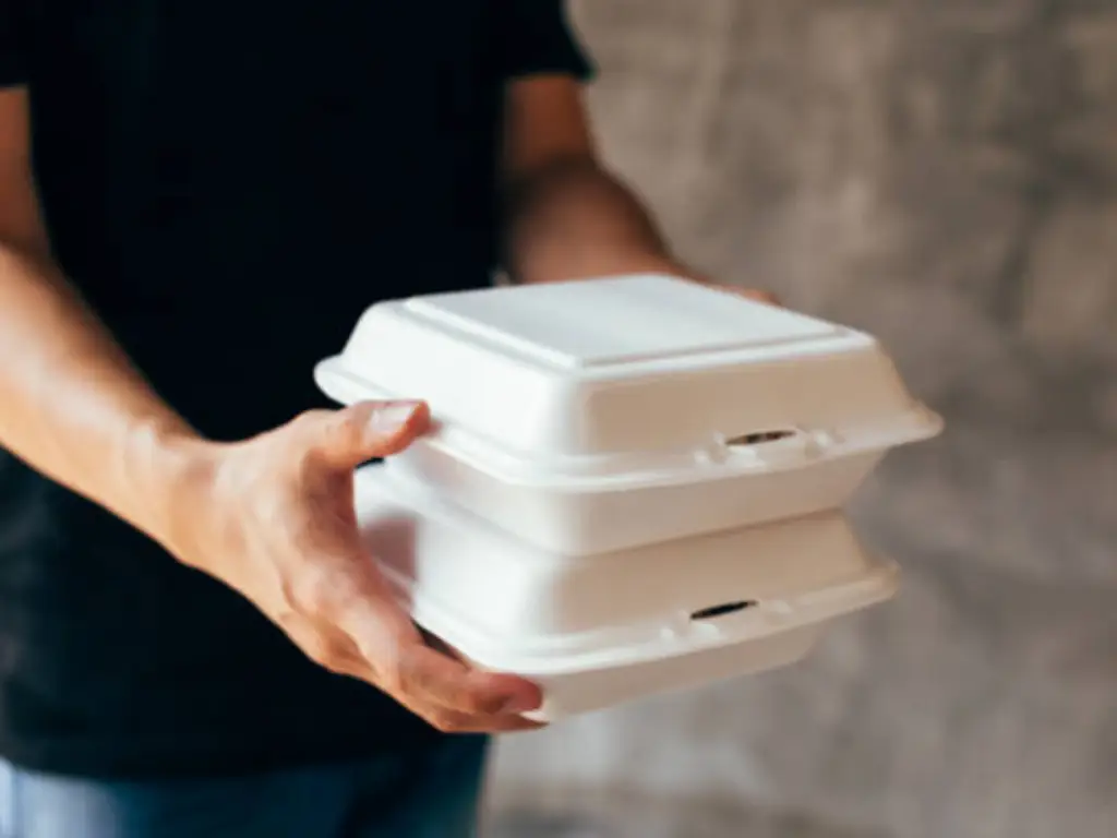 food delivery packaging