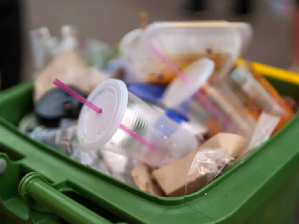 plastic cups