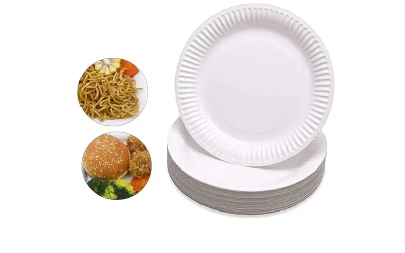 Wisefood Lot De 200 Assiettes Jetables Bagasse Rondes Blanches 17 Cm