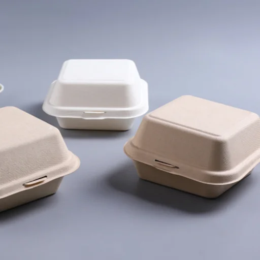 pulpa de caña de azúcar hamburguesa caja 3