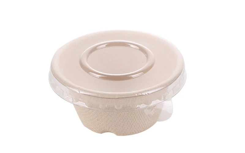 suikerrietpulp sauskopjes1