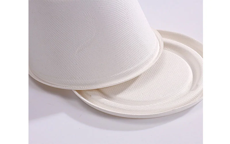 suikerrietpulp sauskopjes6