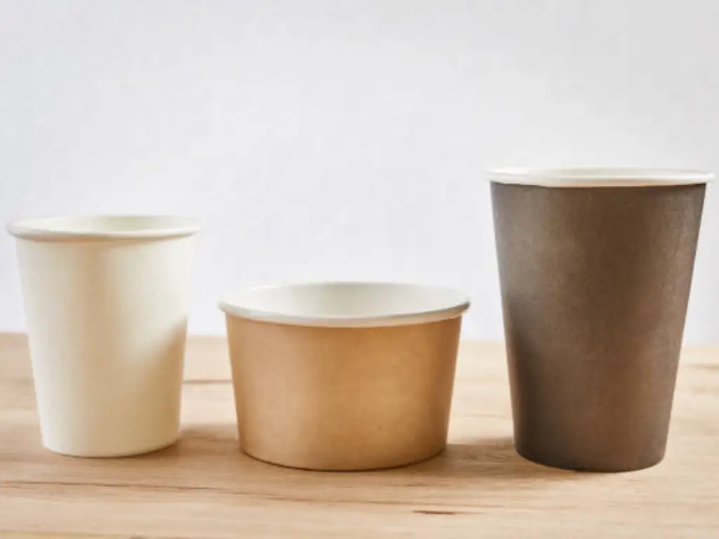 Ice Cream Paper Cups2