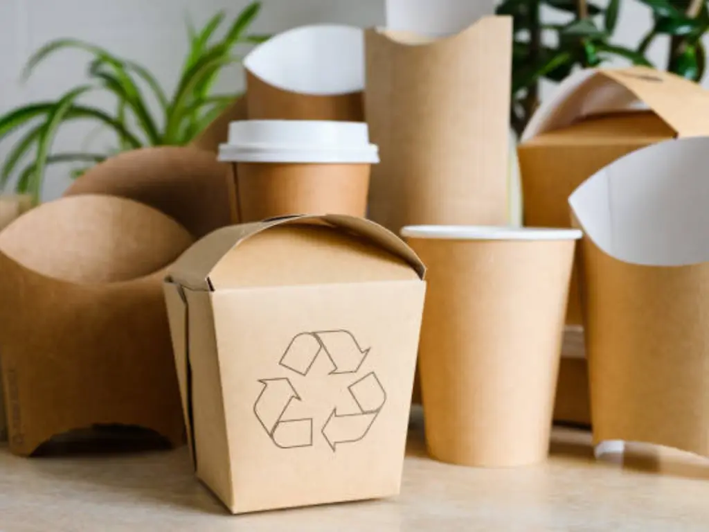 Premium eco-friendly branded food packaging and custom paper cups