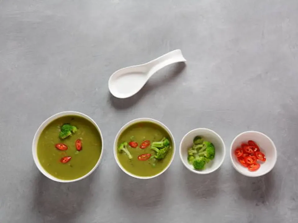 Soup Bowl Size2