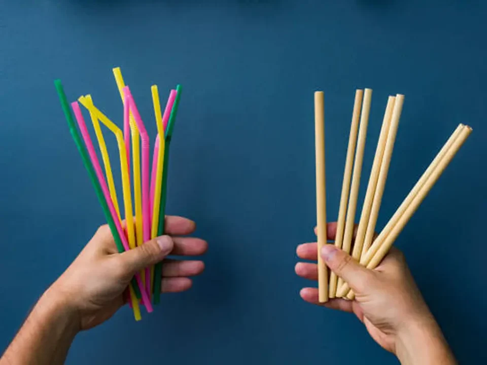paper straws vs plastic straws