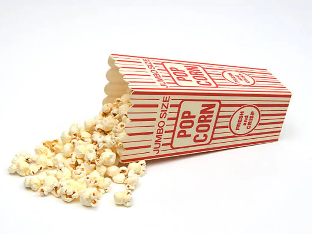 Popcorn Bucket-1