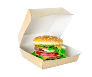 burger in a burger box